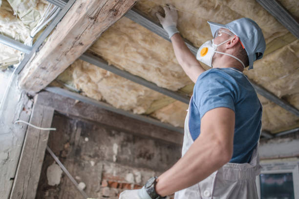 Best Insulation Maintenance and Repair in Milmay, NJ